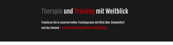 Therapie und Training mit Weitblick  Trainieren Sie in unserem hellen Trainingsraum mit Blick über Schweinfurt und das Umland -  unter professioneller Anleitung.